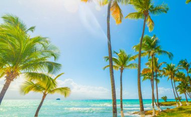 Bas du Fort Shore 'da, parlayan güneşin altında. Guadeloupe, Karayip Denizi