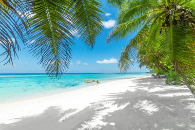 Anse Forbans sahilinde tahta tekne ve palmiye ağaçları. Mahe Adası, Seyşeller