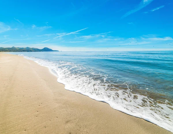 Altın sahil Feraxi Beach, Sardunya