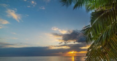 Gün batımında tropik bir sahilde mavi ve turuncu gökyüzü altında palmiye ağaçları