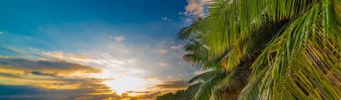 Güneş batarken tropik bir sahilde, turuncu ve mavi bir gökyüzünün altında palmiye ağaçları.