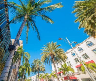 Beverly Hills 'teki dünyaca ünlü Rodeo Drive' daki palmiye ağaçları. Los Angeles, Kaliforniya, ABD