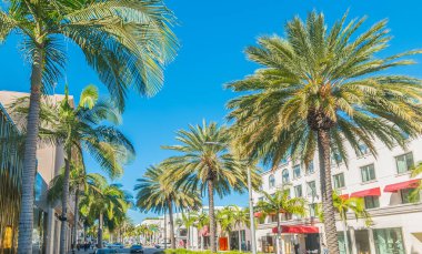 Güneşli bir günde Beverly Hills 'teki dünyaca ünlü Rodeo Drive' daki palmiye ağaçları. Los Angeles, Kaliforniya, ABD