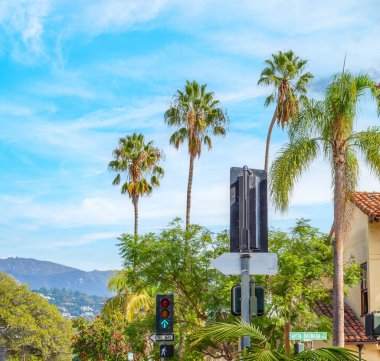 Santa Barbara 'da mavi gökyüzünün altındaki palmiye ağaçları. Kaliforniya, ABD