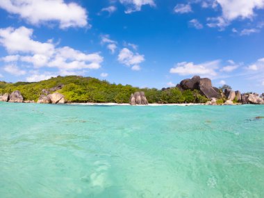 Turkuaz suyu, beyaz kum ve denizden görünen palmiye ağaçları olan tropik bir sahil.