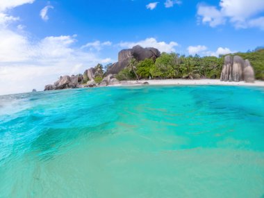 Mavi gökyüzünün altında sulardan görünen beyaz kum ve palmiye ağaçlarıyla tropik bir sahil.