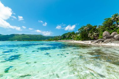 Tropik bir plajda turkuaz su. Seyşeller, Hint Okyanusu