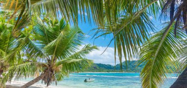 Güneşli bir günde tropik bir sahilde palmiyeler ve kayıklar. Seyşeller, Hint Okyanusu