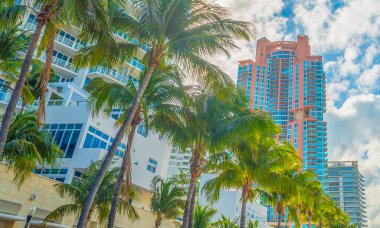 Miami sahilinde bulutlu bir gökyüzünün altında gökdelenler ve palmiyeler. Florida, ABD