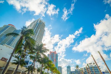 Miami Sahili 'nde gökdelenler ve palmiyeler. Florida, ABD