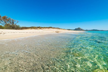 Beyaz kum ve turkuaz suyla kaplı bir kumsalın üzerindeki mavi gökyüzü. Sardunya, İtalya