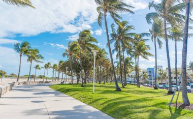 Miami Beach 'teki ünlü Ocean Drive' ın yanındaki palmiye ağaçları. Florida, ABD