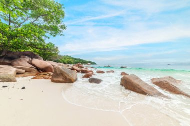 Anse Lazio, Seyşeller, Hint Okyanusu 'nda deniz kenarında kayaları ve bitkileri olan tropikal bir plaj.