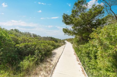 İlkbaharda doğada yürüyüş yolu