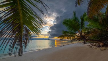 Tropikal bir plajda gün batımında deniz kenarında palmiye ağaçları. Praslin Adası, Seyşeller