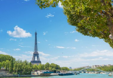 World famous Eiffel tower seen from Seine river on a sunny day. Paris, France clipart