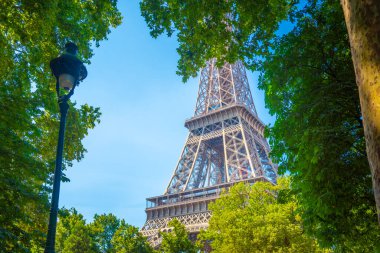 Famous Eiffel tower surrounded by green trees under a clear sky. Paris, France clipart