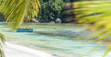 Kıyıdaki tropik bir sahilde küçük ahşap kayıklar. Mahe Adası, Seyşeller