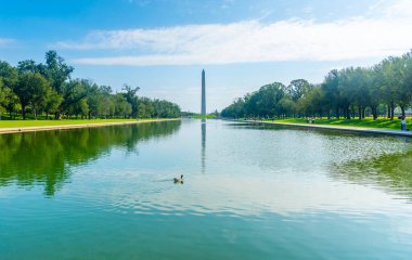 Lincoln Memorial Yansıtma Havuzu 'ndan Washington Anıtı. Washington D.C., ABD