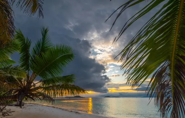 Tropik bir plajda, alacakaranlıkta, deniz kenarındaki palmiye ağaçları. Praslin Adası, Seyşeller