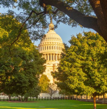 Gün batımında ağaçlı bir parkın içinden görünen Birleşik Devletler Kongre Binası. Washington D.C., ABD