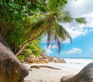 Tropik bir sahilde palmiye ağaçları ve granit kayalar. Seyşeller, Hint Okyanusu, Afrika