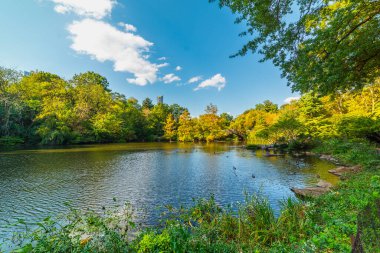 Gapstow Köprüsü 'nün yanındaki Central Park' ta küçük bir göl. New York City, ABD