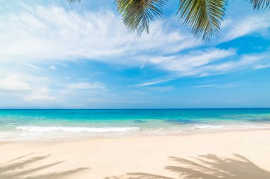 Turkuaz suyu olan tropik bir sahilde beyaz kum ve palmiye ağaçları.