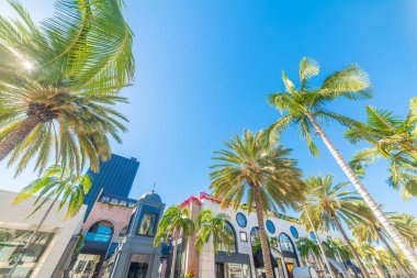 Beverly Hills, Rodeo Drive 'daki palmiye ağaçları ve lüks mağazalar. Los Angeles, Kaliforniya, ABD