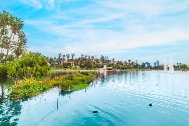 Echo Park Gölü mavi gökyüzünün altında. Los Angeles, Kaliforniya, ABD