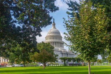 Birleşik Devletler Kongre Binası yeşil ağaçların arasından görülüyor. National Mall, Washington DC, ABD