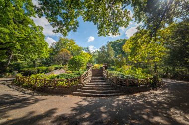 Güneşli bir günde Central Park 'ta merdivenler. New York City, ABD
