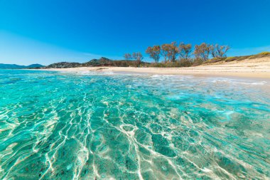 İtalya, Sardunya 'da kristal berraklığında turkuaz su