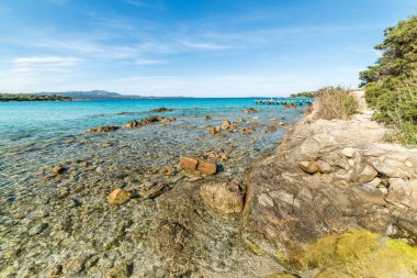 Güneşli bir günde turkuaz su ve kayalarla dolu bir sahil.