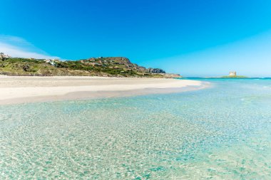 Güneşli bir günde La Pelosa sahilinde görüldü. Stintino, Sardinya, İtalya