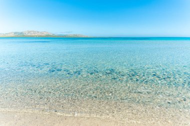 La Pelosa sahilinde kristal berrak su. Stintino, Sardinya, İtalya