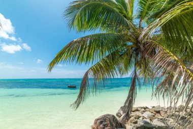 Güneşli bir günde, tropik bir adada, kıyıda küçük bir tekne.