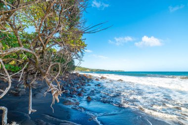 Tropik bir sahilde kayalar ve karanlık kumlar. Guadeloupe, Karayip Denizi