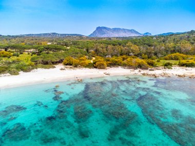 Arka planda Tavolara adası olan Lu Impostu plajının havadan görüntüsü. Sardunya, İtalya
