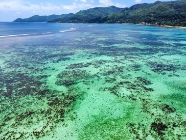 Tropik bir plajdaki turkuaz su ve mercan resifinin havadan görünüşü. Seyşeller, Hint Okyanusu, Afrika