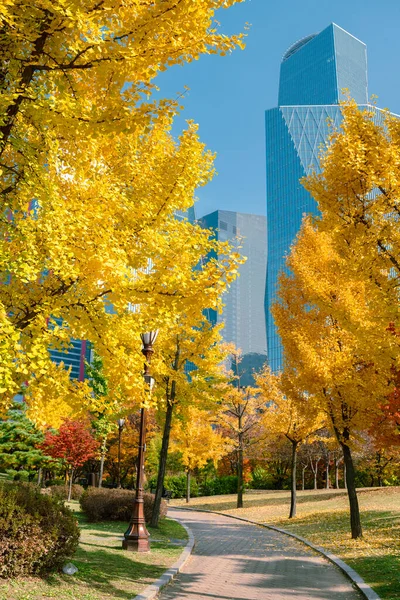 stock image Autumn of Yeouido park in Seoul, Korea