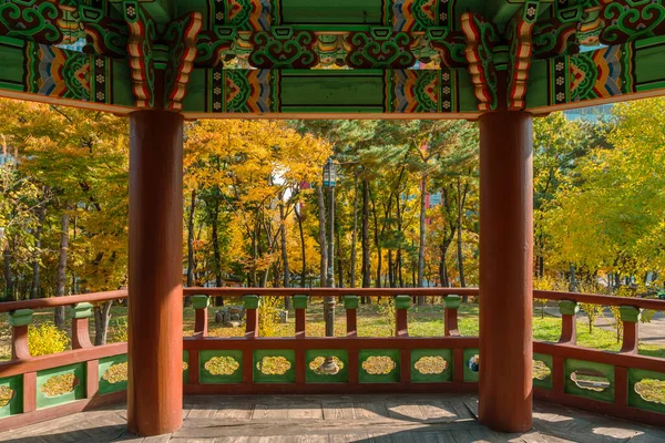 Yeouido Park Herfst Bladeren Traditionele Paviljoen Seoul Korea — Stockfoto