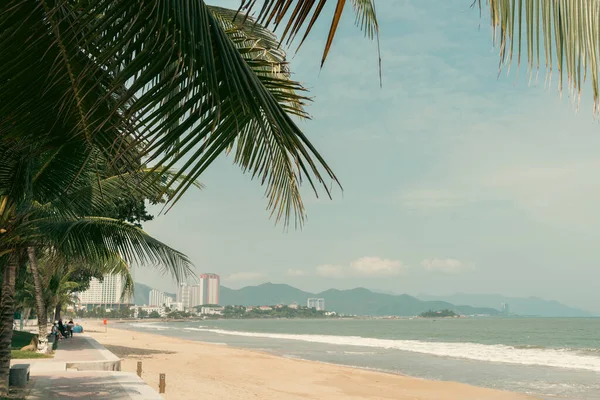 stock image Nha Trang beach and tropical palm tree in Vietnam