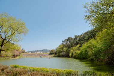 Lake and green forest at Gijang Yongso Well-Being Park in Busan, Korea