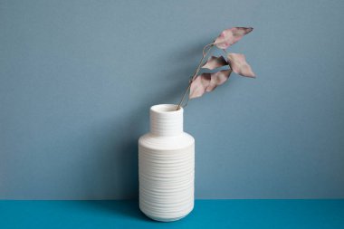 White vase of brown dry plant on blue table