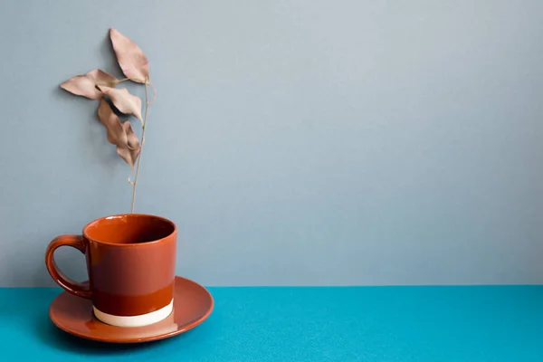 Brown coffee cup and plant on blue table