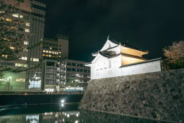 Замковий Парк Санпу Сідзуоці Японія — стокове фото
