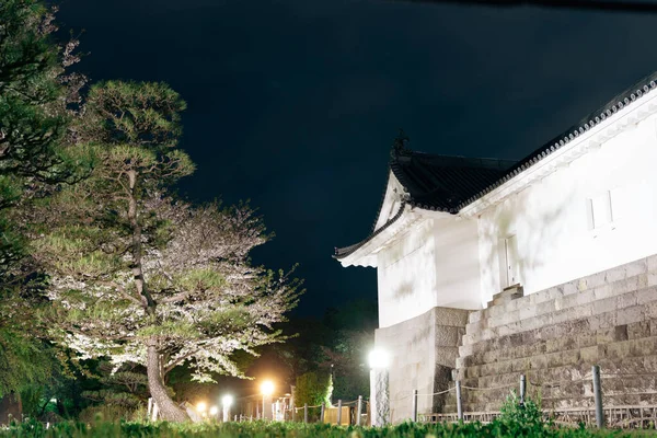 Sunpu Castle Park Paisaje Nocturno Shizuoka Japón — Foto de Stock