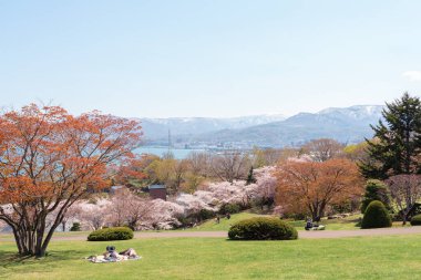 Japonya, Hokkaido 'da ilkbahar kiraz çiçekleriyle Otaru Temiya Parkı manzarası