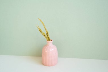 Beyaz masanın üzerinde pembe vazo dolusu kuru çiçek. Nane duvarlı arka plan. Boşluğu kopyala